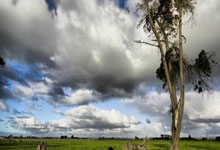 乐鱼电竞：英雄联盟s3段位明细