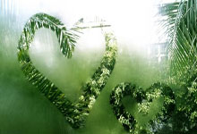 乐鱼电竞：英雄联盟s3段位明细